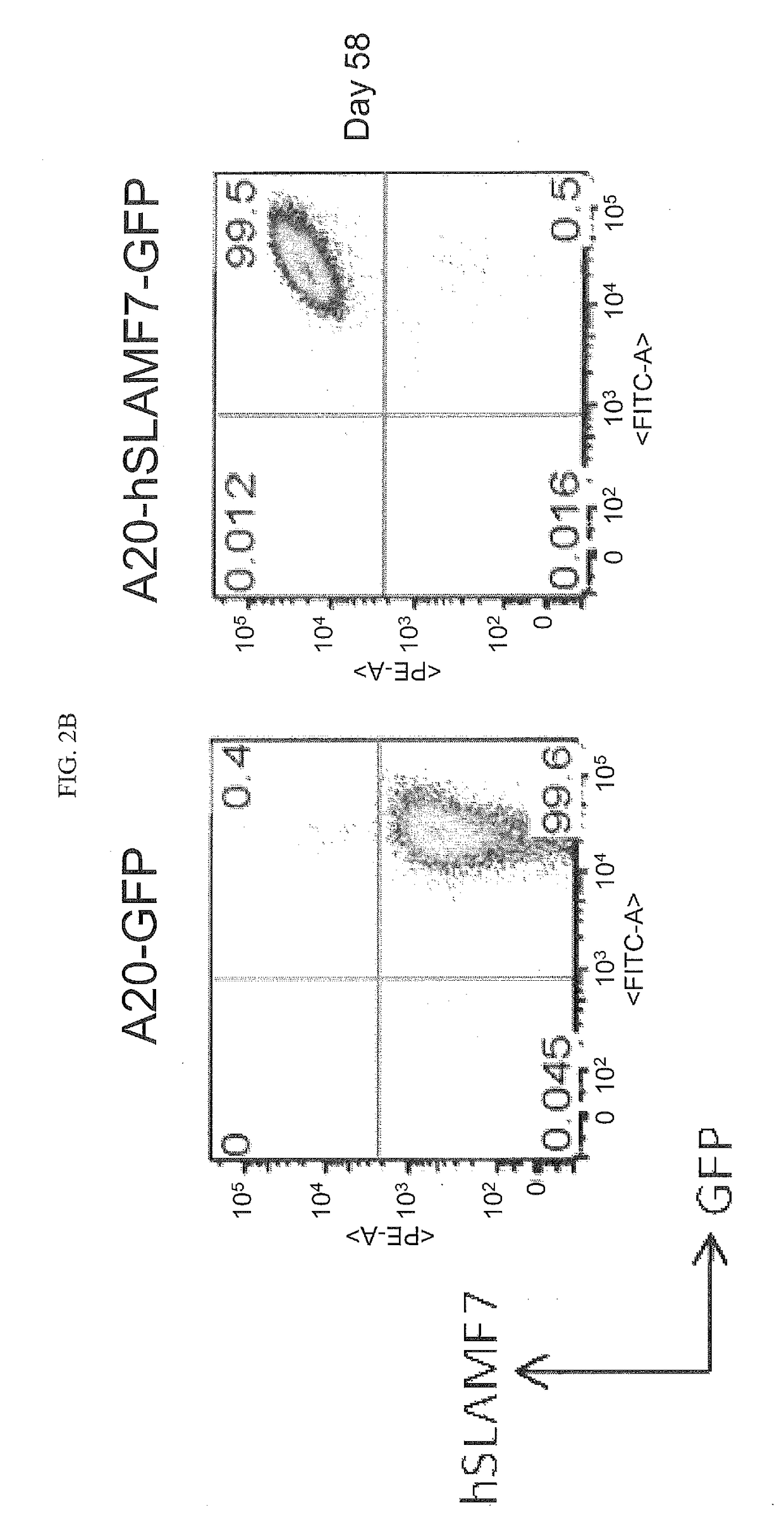 Combination of Anti-cs1 and Anti-pd1 antibodies to treat cancer (myeloma)