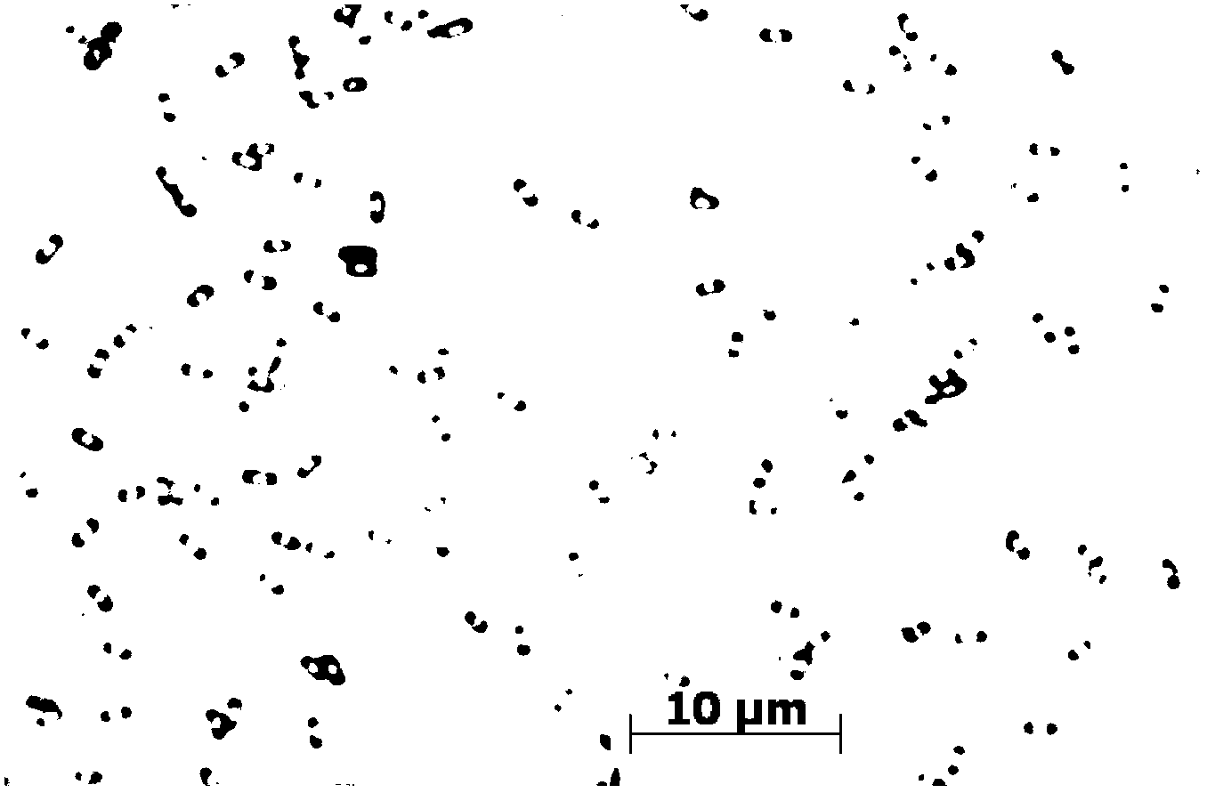 Bacillus amyloliquefaciens subsp. plantarum and application thereof