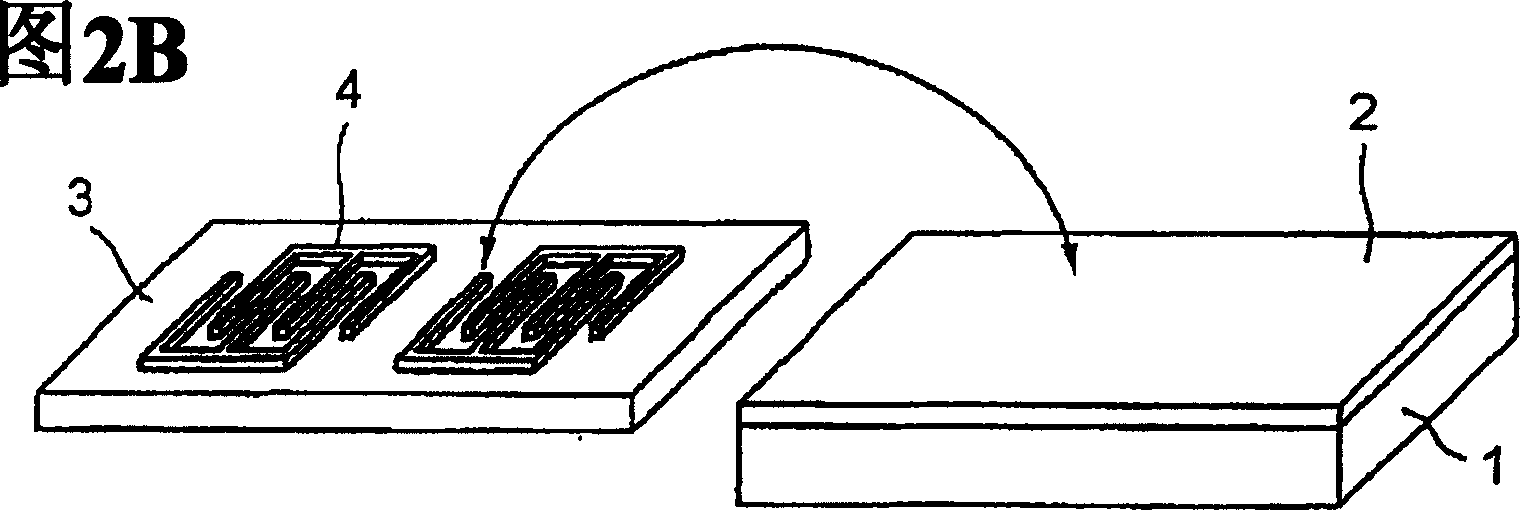 Surface acoustic wave element and method for fabricating semiconductor device