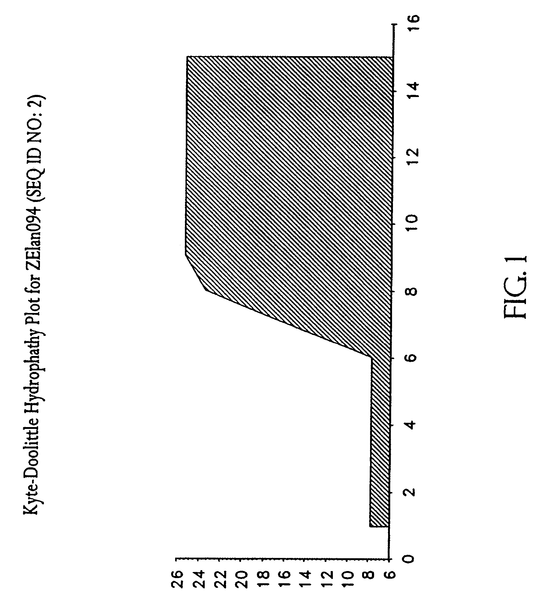 Membrane translocating peptide drug delivery system