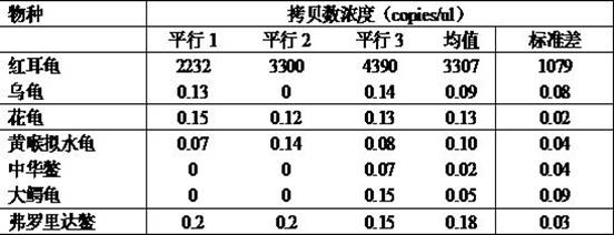 A specific primer for quantitative detection of red-eared turtle biomass in the environment, its detection method and application