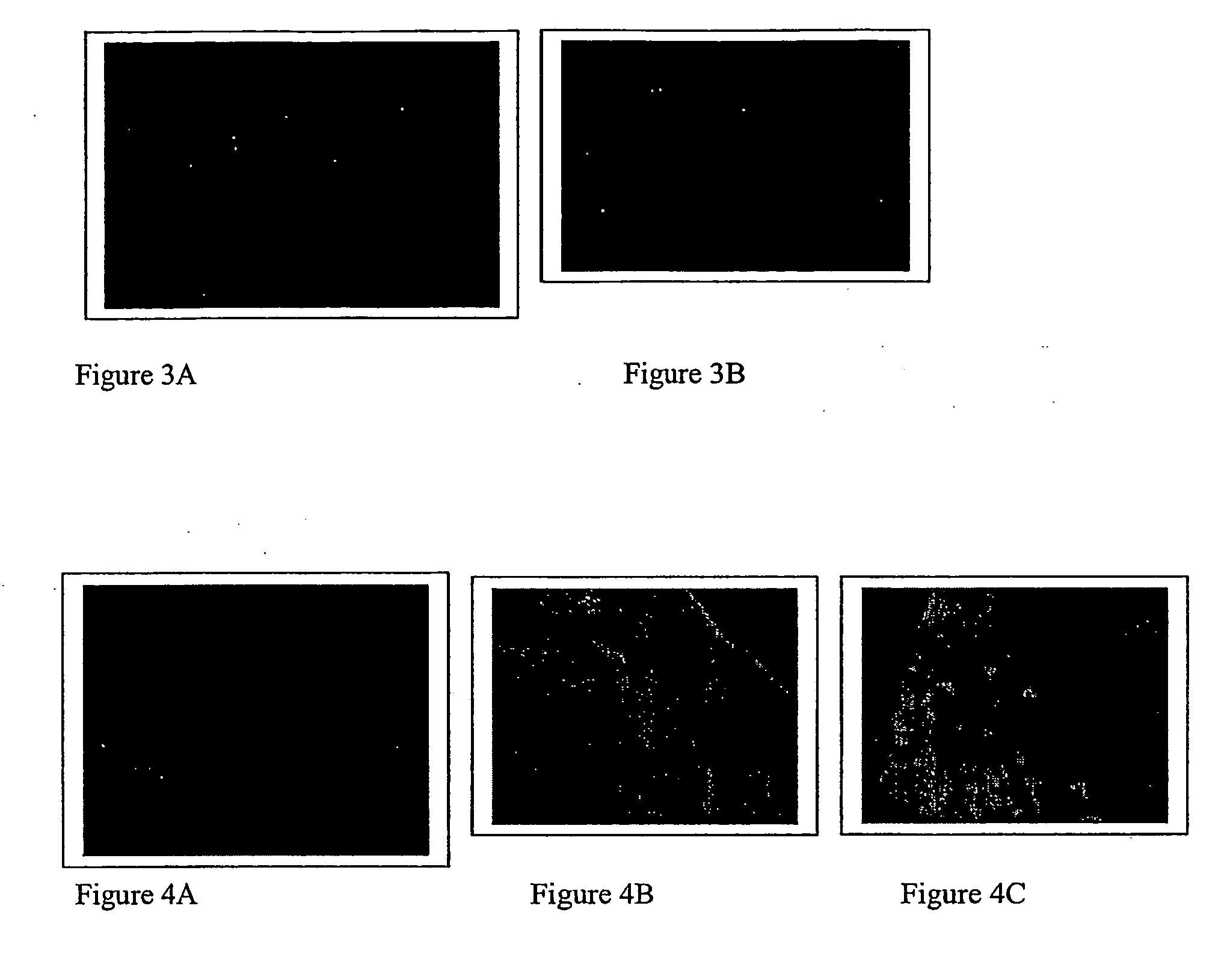 Transport peptides and uses therefor