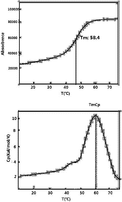 Typing detection method and kit for high-risk human papilloma virus (HPV)