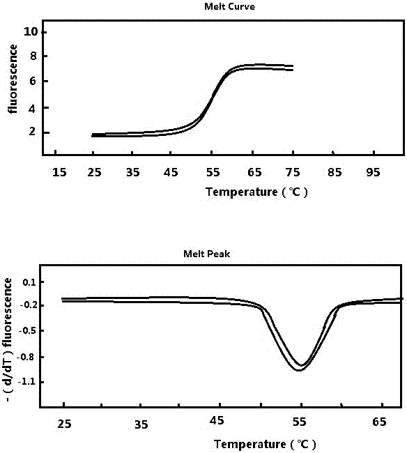 Typing detection method and kit for high-risk human papilloma virus (HPV)