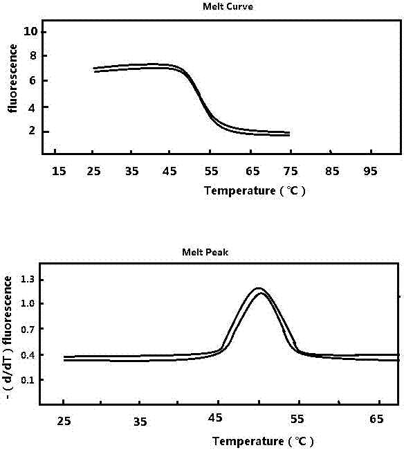 Typing detection method and kit for high-risk human papilloma virus (HPV)