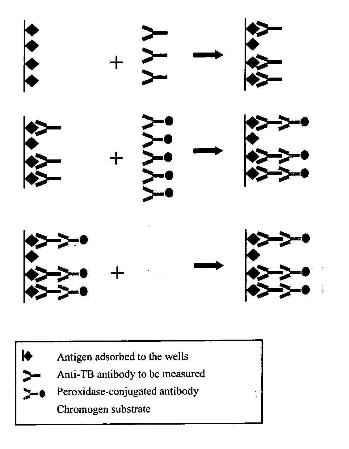 Method for Detecting Anti-Transglutaminase Antibodies