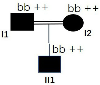 MSH6 gene with mutation at 12759<th> site and application thereof