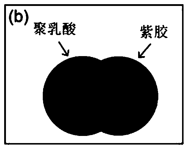 Janus particles with compatibility and preparation method thereof