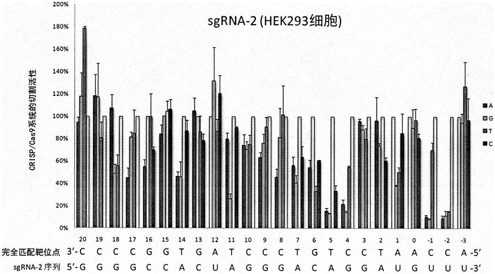 SgRNA base mismatched target site library and its application