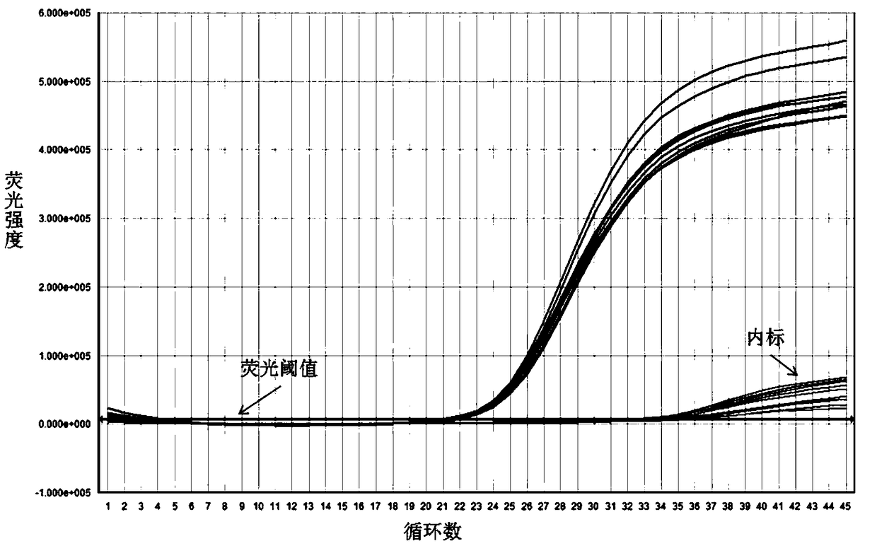 Nucleic acid releasing agent and hepatitis B virus (HBV) nucleic acid releasing method