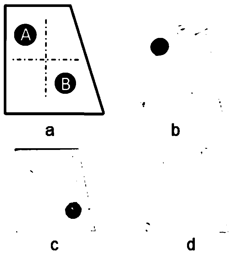 Detection material resisting NMDAR autoantibodies in human body fluid, preparation method and application