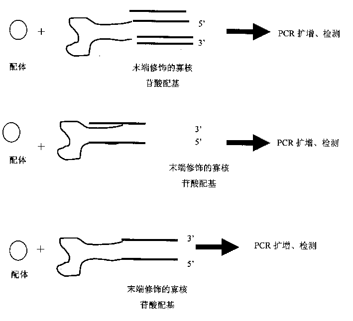 Novel ligand detecting method