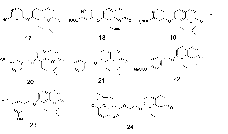 Osthole derivative, its preparation method and its application in preparing medicine for treating breast cancer