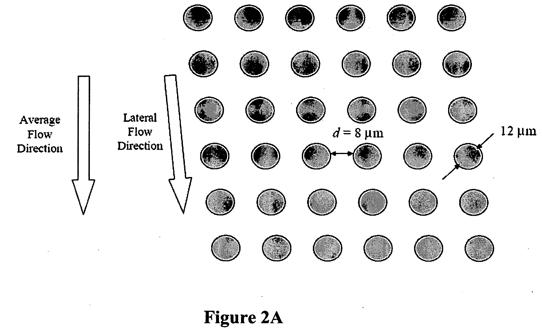 Use of highly parallel SNP genotyping for fetal diagnosis