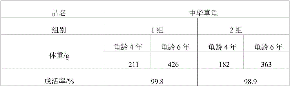 Cultivation method of Chinese pond turtles