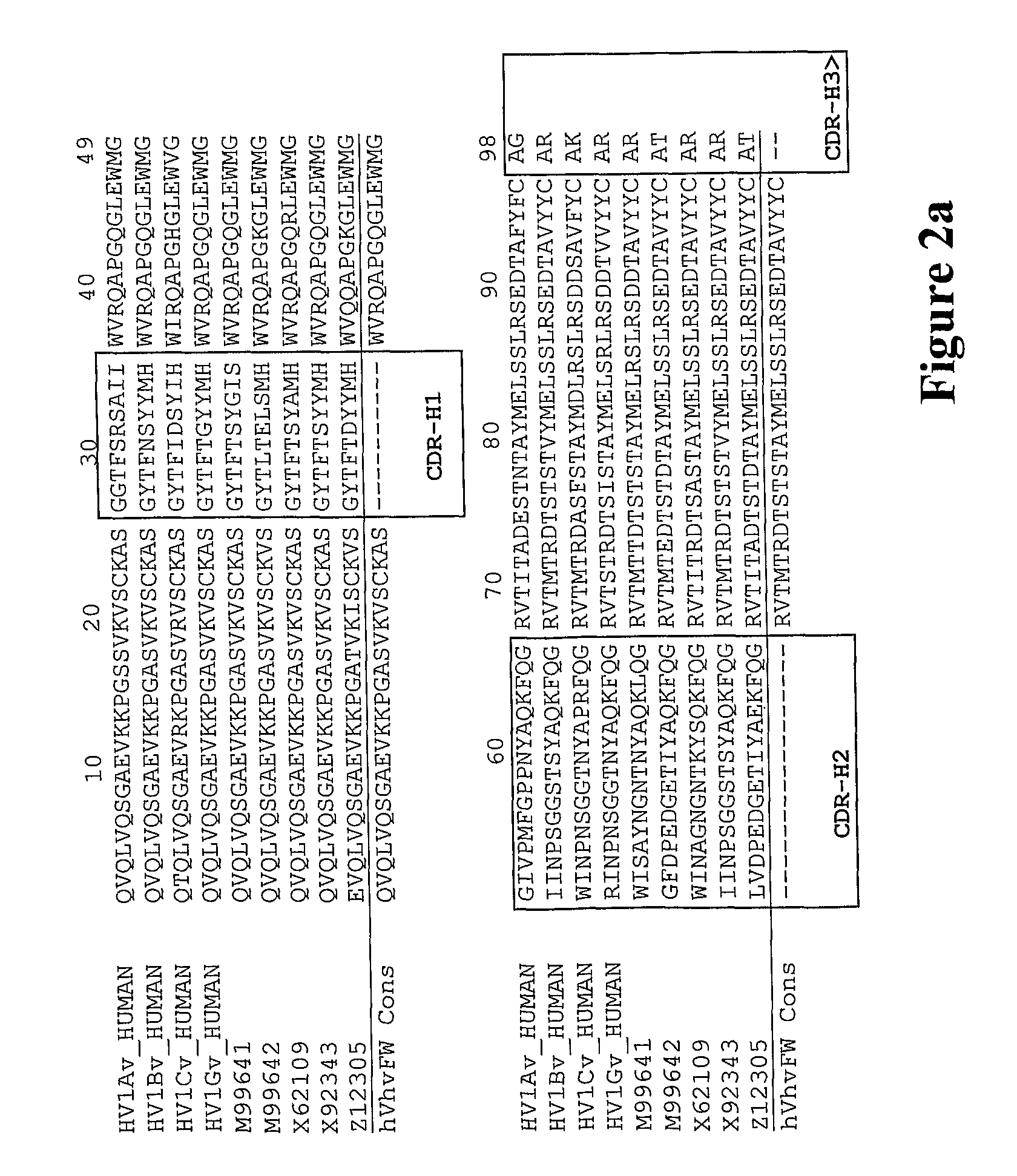 Humanized anti-C5aR antibodies