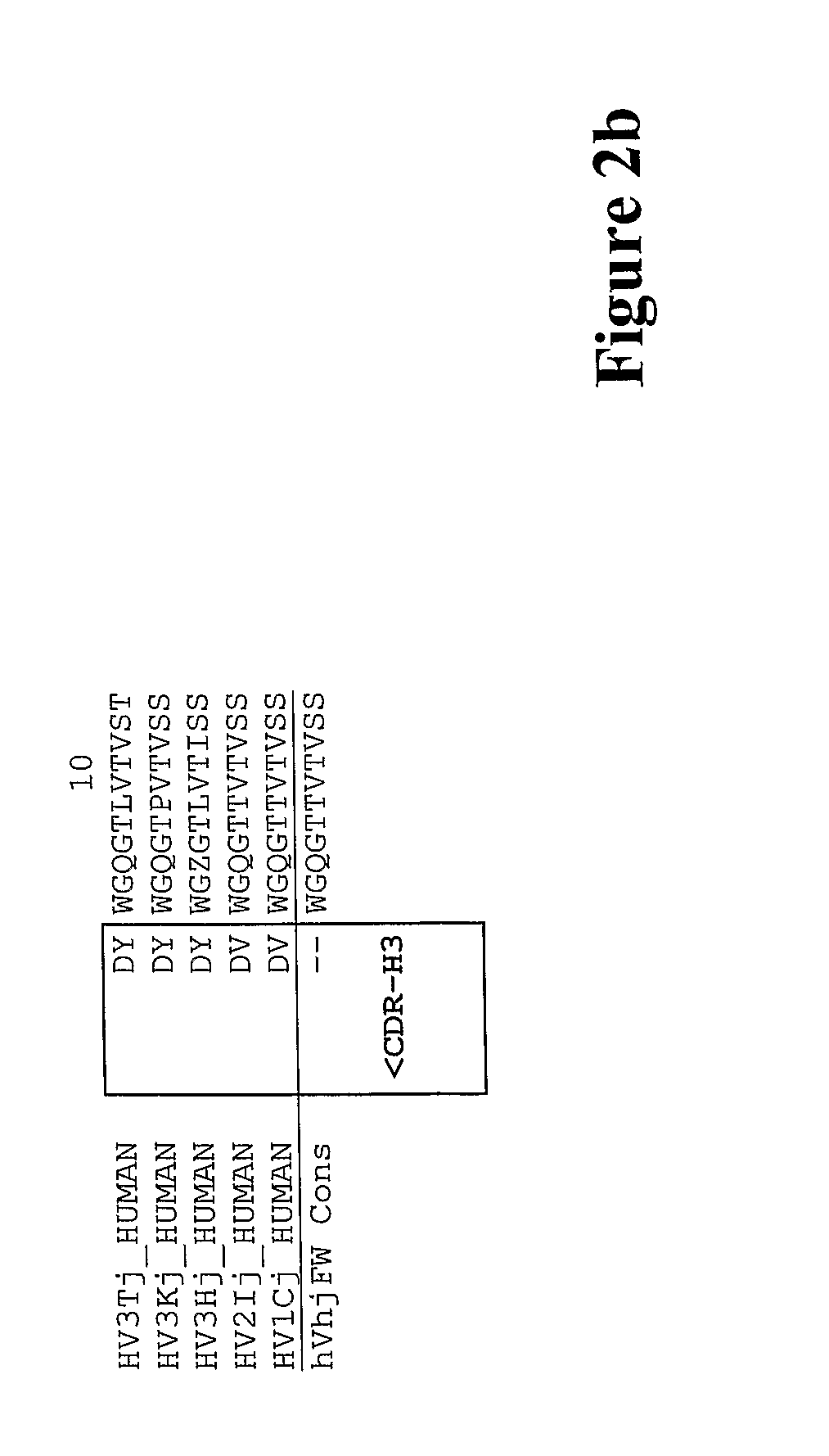 Humanized anti-C5aR antibodies