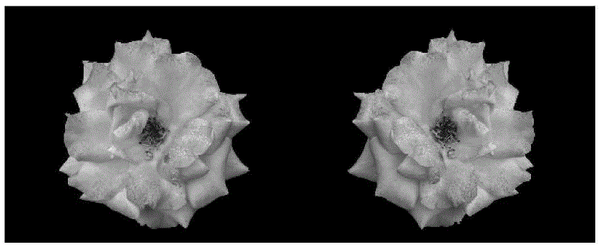 Perceived stereoscopic image quality objective evaluation method