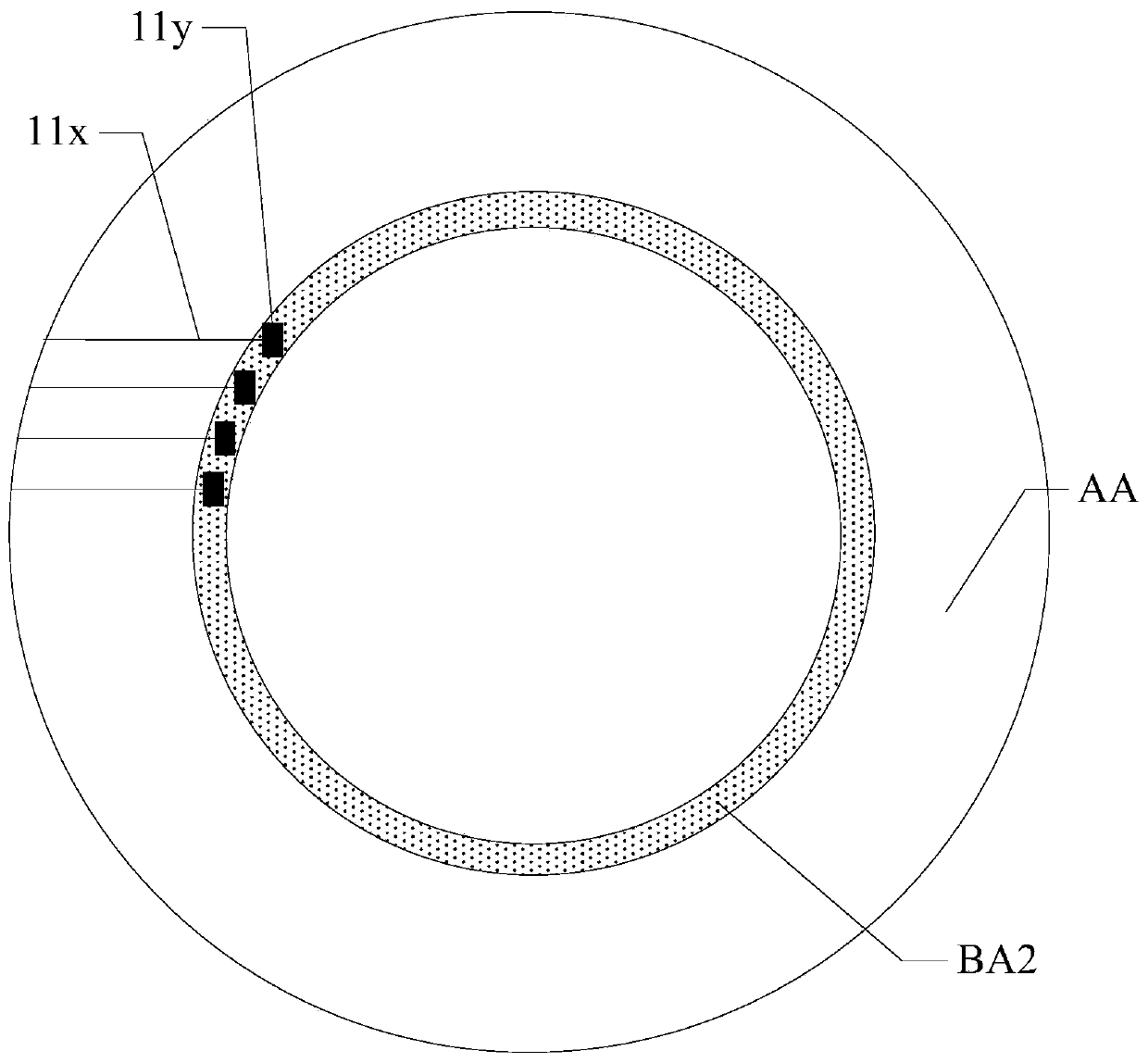 Ring display module and display device