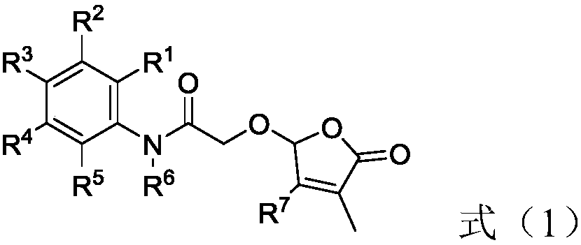 2-butenolide acetamide compound, and preparation method and application thereof