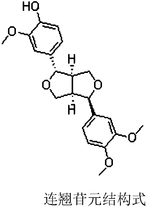 Application of forsythiagenin in the preparation of drugs for preventing or treating liver fibrosis