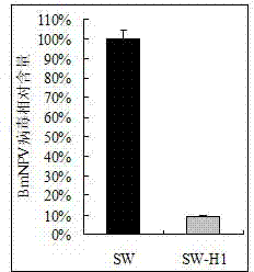 Application and recombinant vector of bombyx mori nuclear polyhedrosis virus polygene inverted repeat sequence and bombyx mori lipase-1 gene