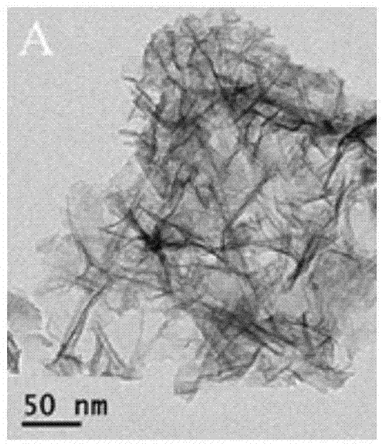 Fluorescent sensor, preparation method thereof and application of fluorescent sensor