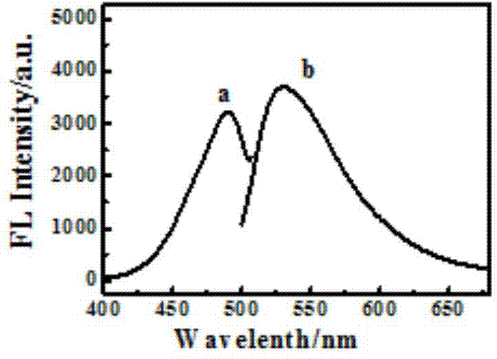 Fluorescent sensor, preparation method thereof and application of fluorescent sensor