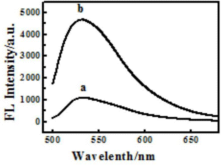 Fluorescent sensor, preparation method thereof and application of fluorescent sensor