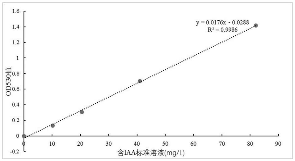 A kind of alkalophilic bacillus strain wp-1 and its application