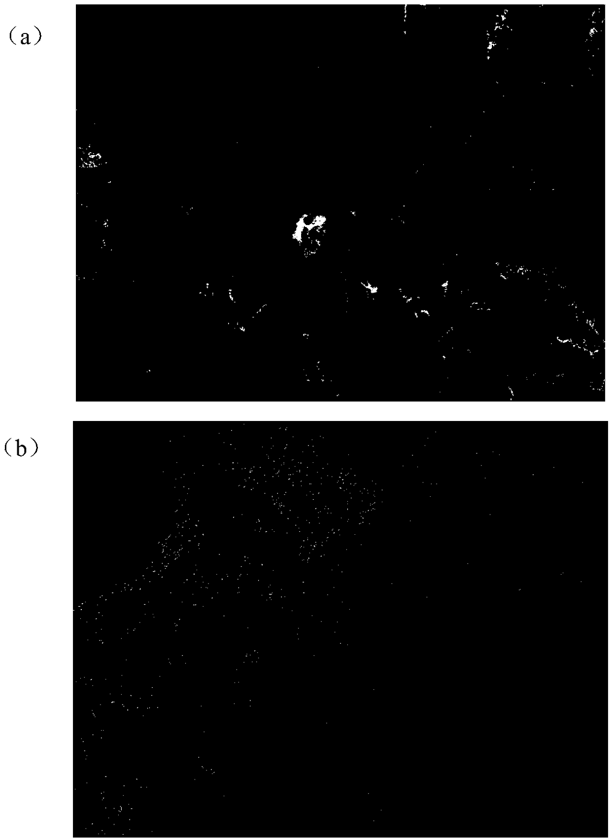 Gel pyrolysis-based cobalt-nitrogen-doped carbon composite material and preparation method and application thereof