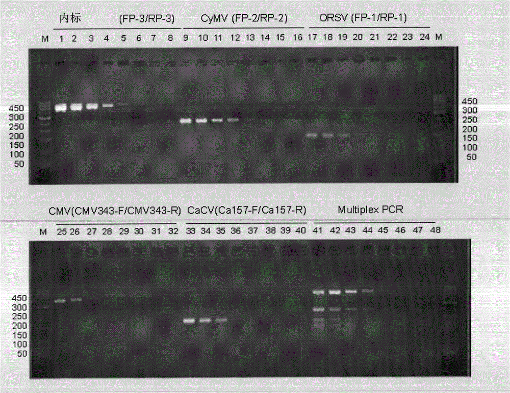 Primer, primer pair, method and reagent kit for simultaneously detecting four viruses