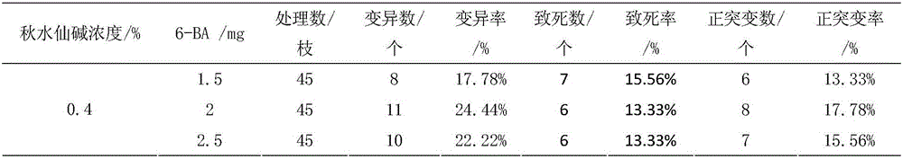 Method for breeding mulberry variety through colchicine mutagenesis