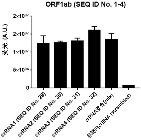 A kit, detection method and application for detecting nucleic acid of respiratory pathogens