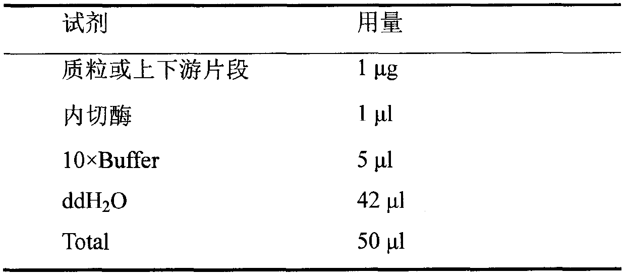 Monascus phy gene and application thereof in increasing yield of yellow pigment