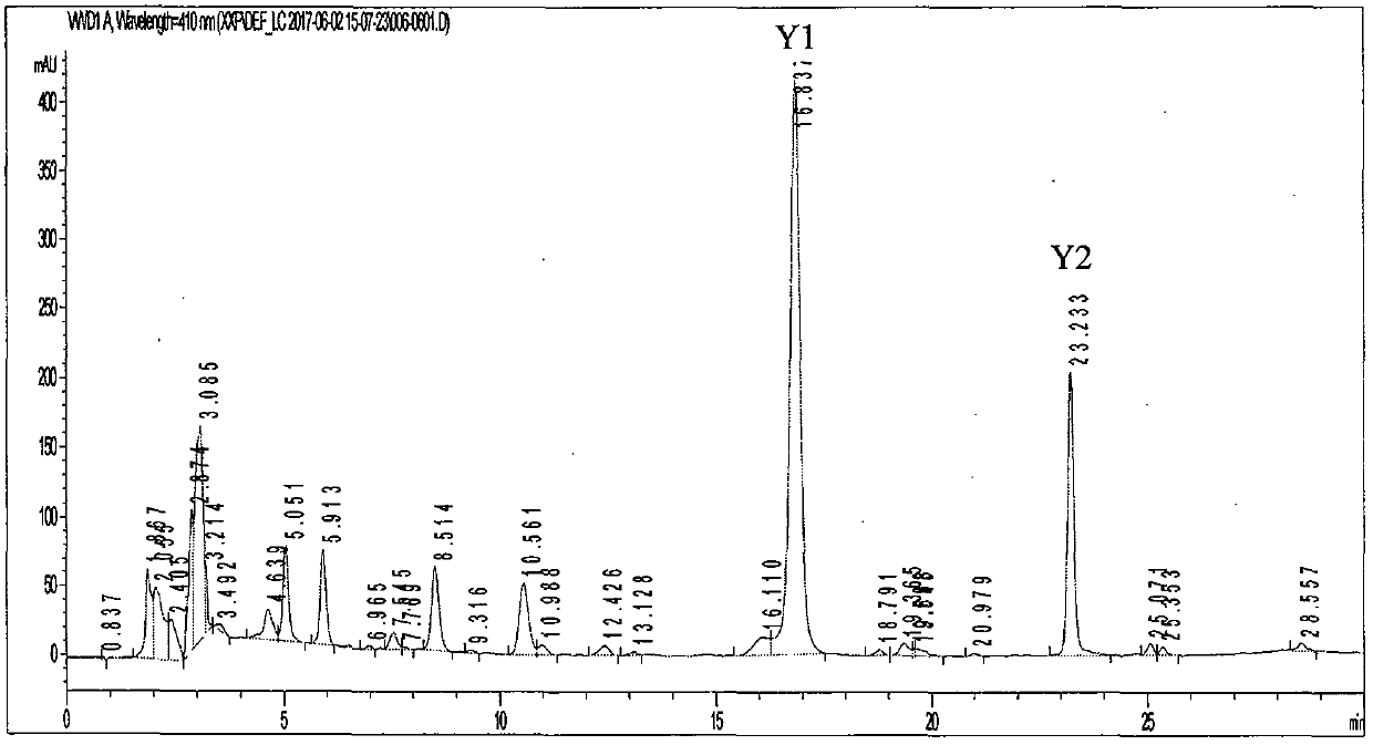 Monascus phy gene and application thereof in increasing yield of yellow pigment