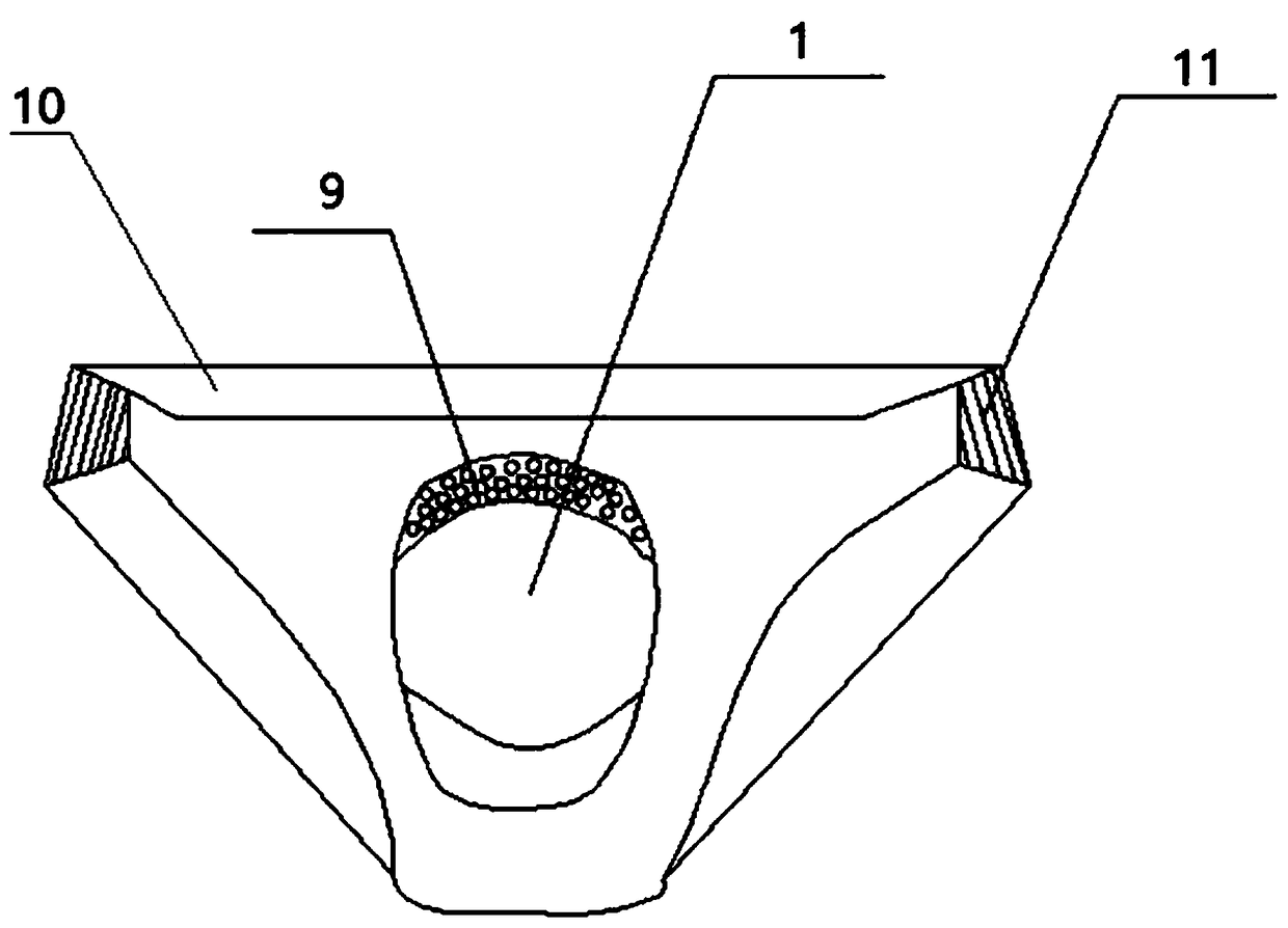 Circumcision postoperative protection device