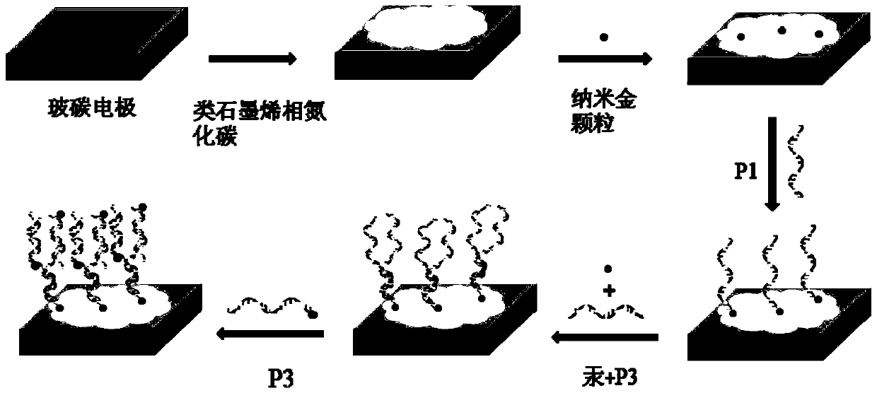 Electrochemical sensor for detecting mercury, its preparation method and application