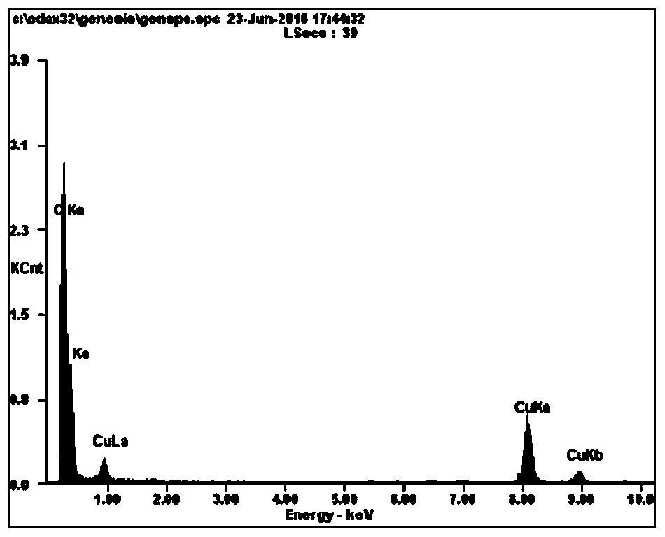 Electrochemical sensor for detecting mercury, its preparation method and application