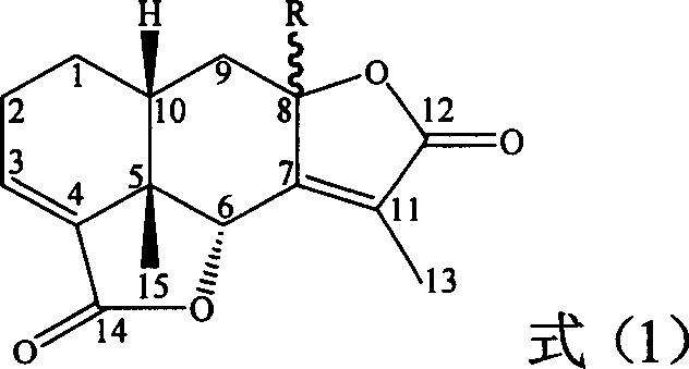 Eremophil dilactone with tumour cell growth inhibiting activity and its use