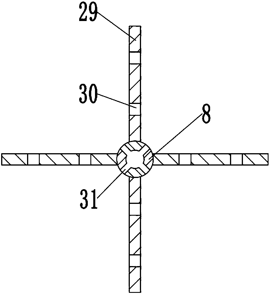 Continuous manufacturing device for foaming cement