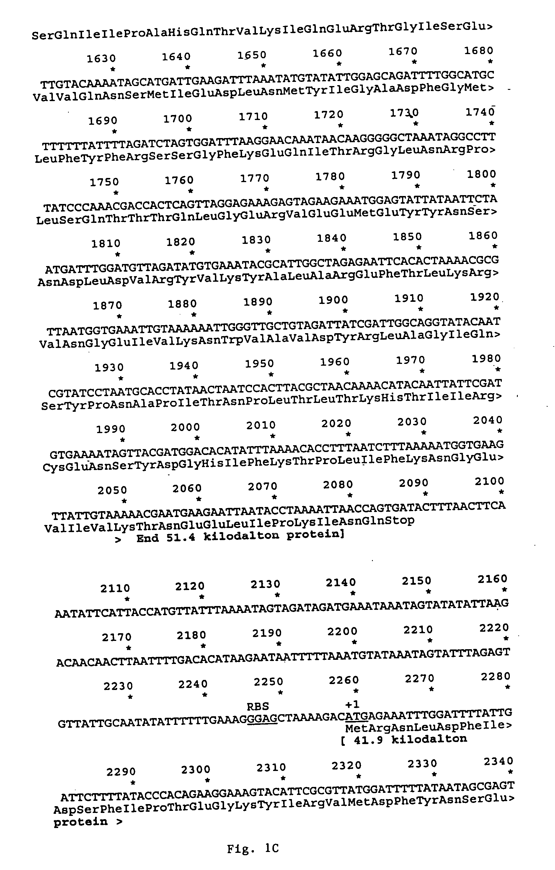 Insecticidal bacteria, and methods for making and using them