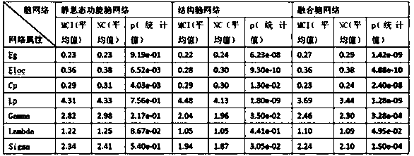 Fusion brain network construction method based on structural connection and functional connection