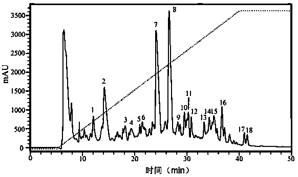 A chive seed antioxidant hexapeptide and its preparation method and application