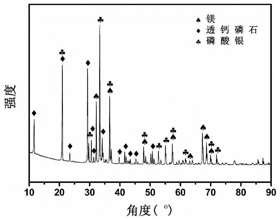 Antibacterial coating of magnesium-based tissue engineering material and preparation method thereof