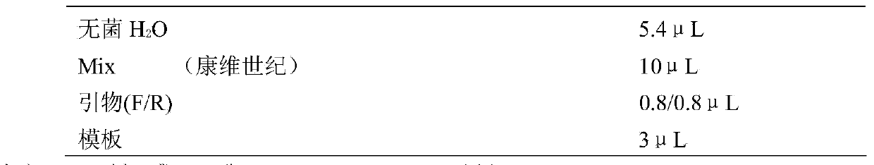 Multi-site molecular marker assistant selection method capable of combining with conventional breeding whole process of wheat