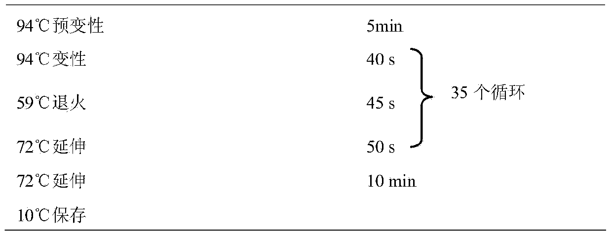 Multi-site molecular marker assistant selection method capable of combining with conventional breeding whole process of wheat