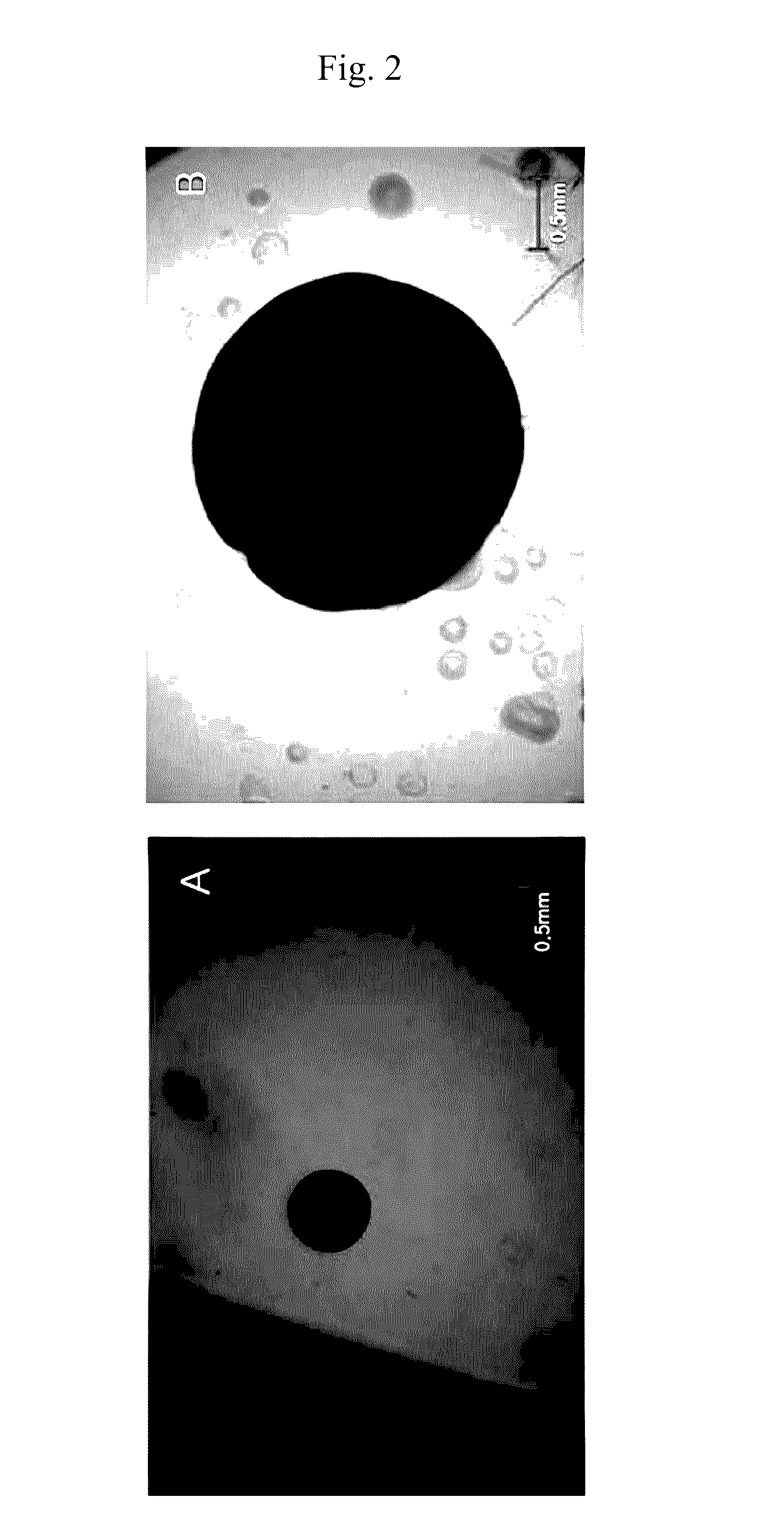 Medium composition for culturing microalgae colony and use thereof