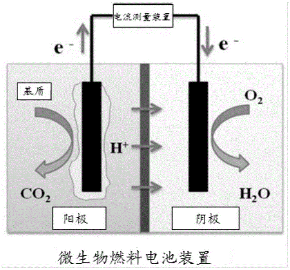 Experimental method for increasing output power of microbial fuel cells by adopting droplet-based microfluidics technology