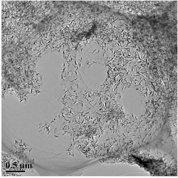 Nitrogen-doped graphene/tin oxide nano composite material and preparation method thereof